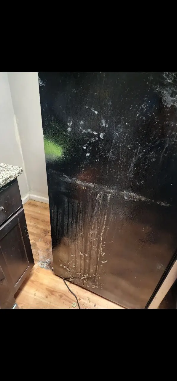 Before: refrigerator side panel cleaning